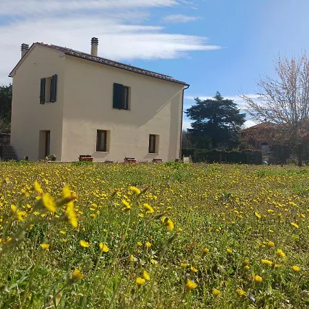 Holiday home Casa Di Zio Monticiano